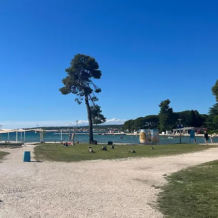 With Terrace Near Sea - Angela's Lejlighed Zadar